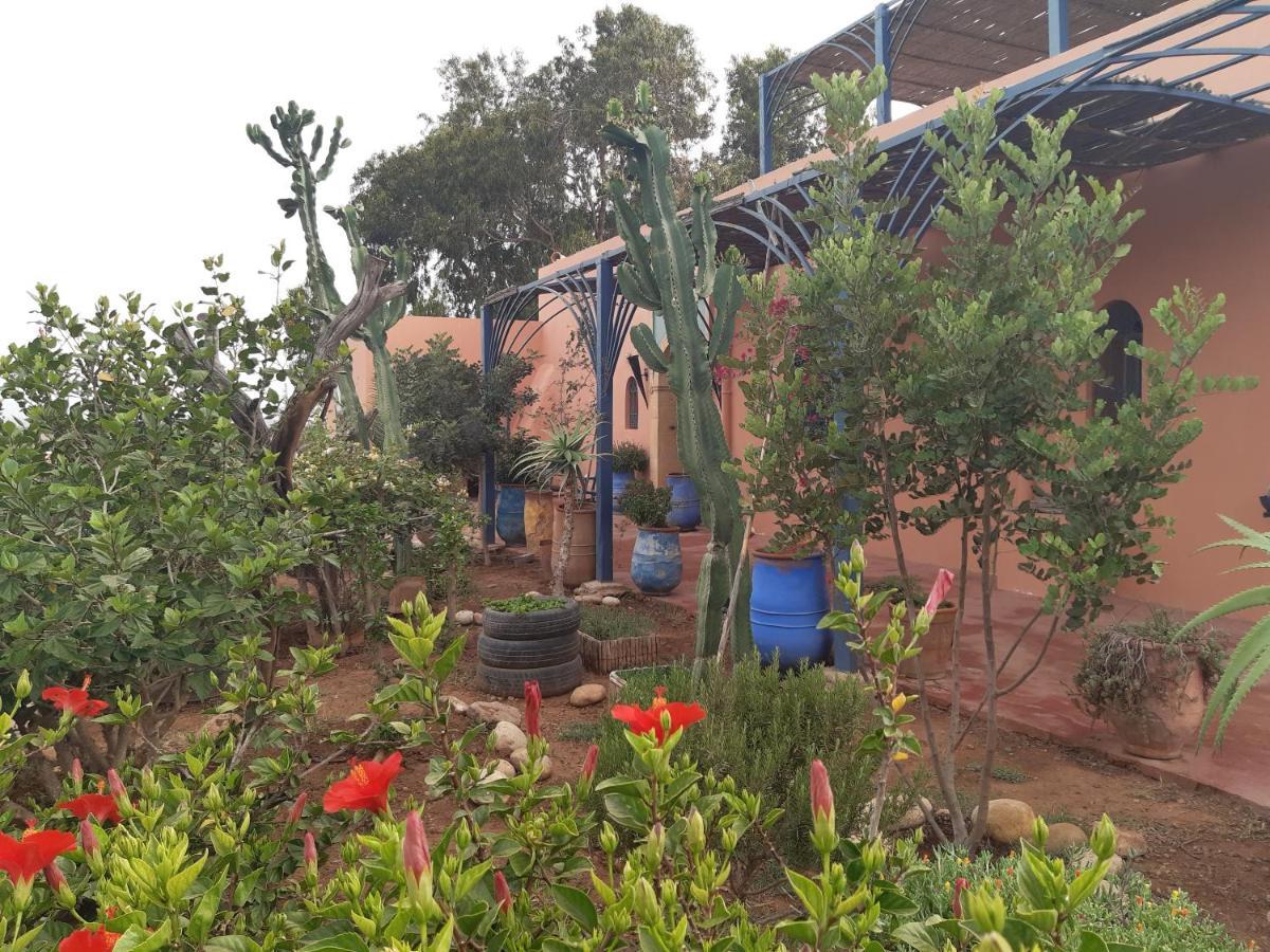 Riad Douar Des Oliviers El Arba Kültér fotó