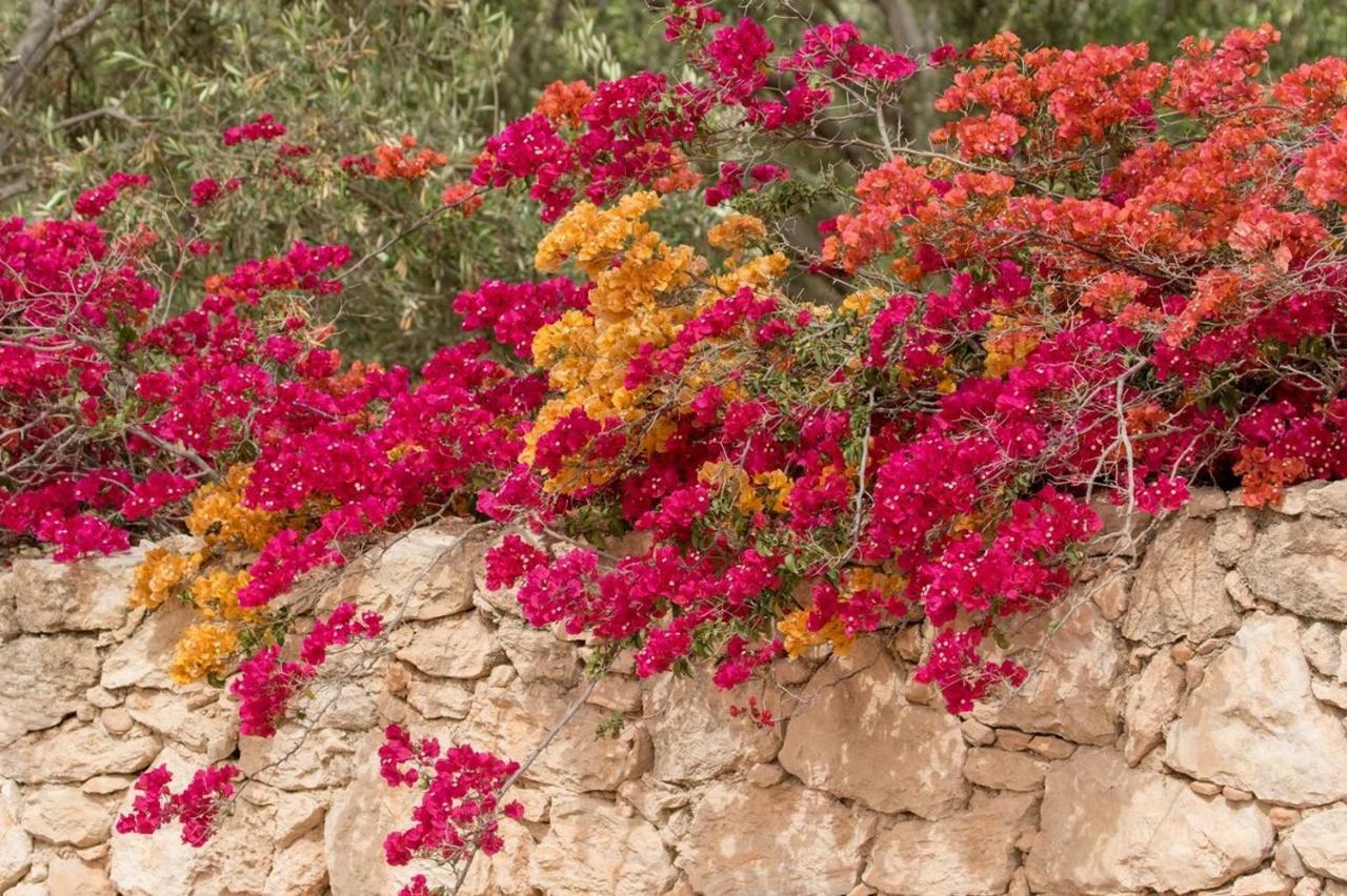 Riad Douar Des Oliviers El Arba Kültér fotó